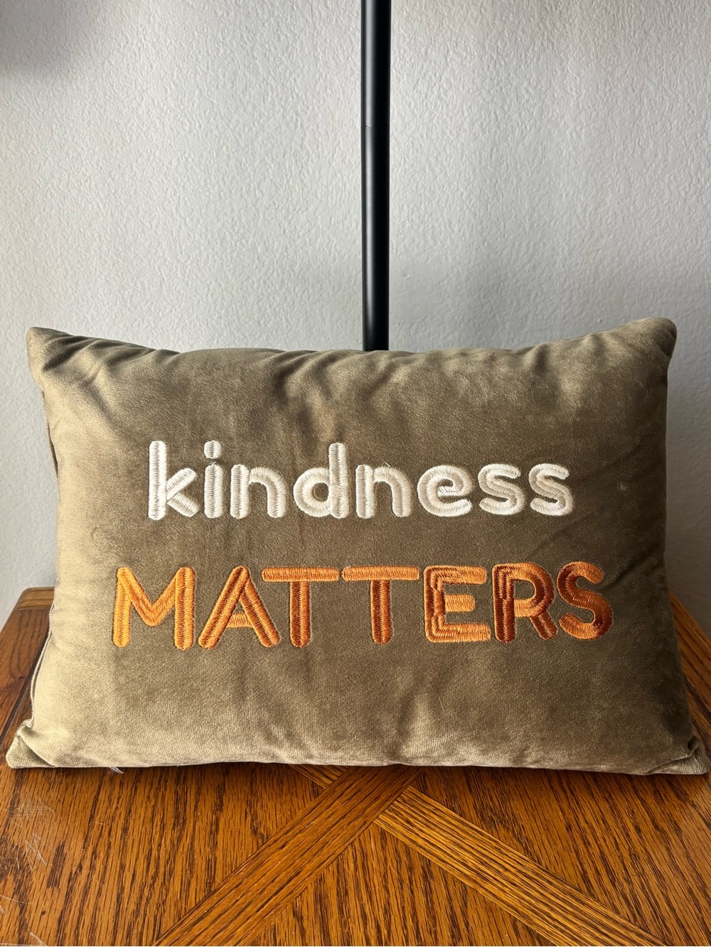 Kindness Matters Embroidered Accent Pillow - Green and Orange